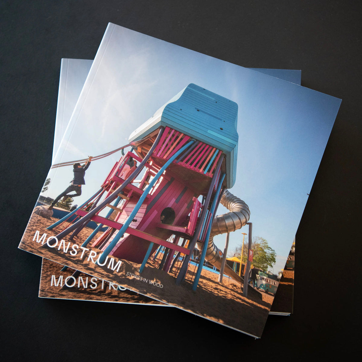 THE MONSTRUM BOOK - anno 2021