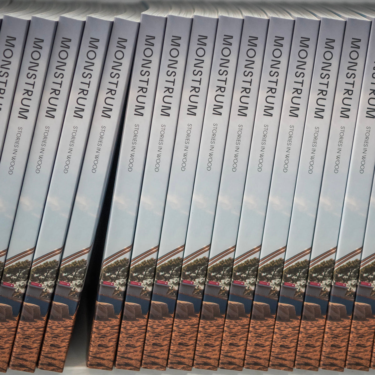 THE MONSTRUM BOOK - anno 2021